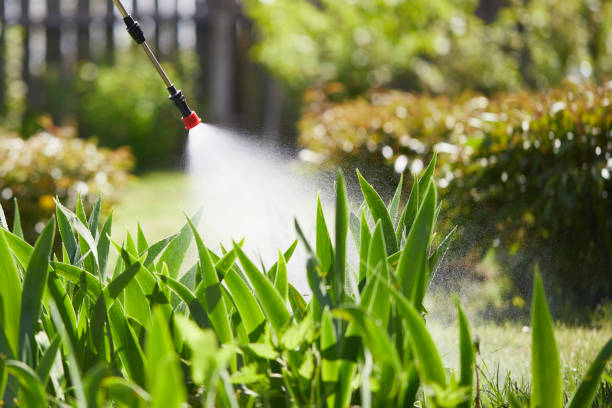 Tamper-Resistant Bait Stations for Rodents in Stanford