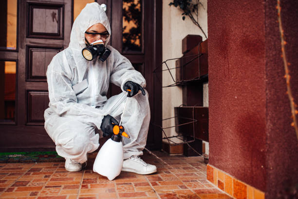 Attic and Crawl Space Rodent Treatment in Stanford