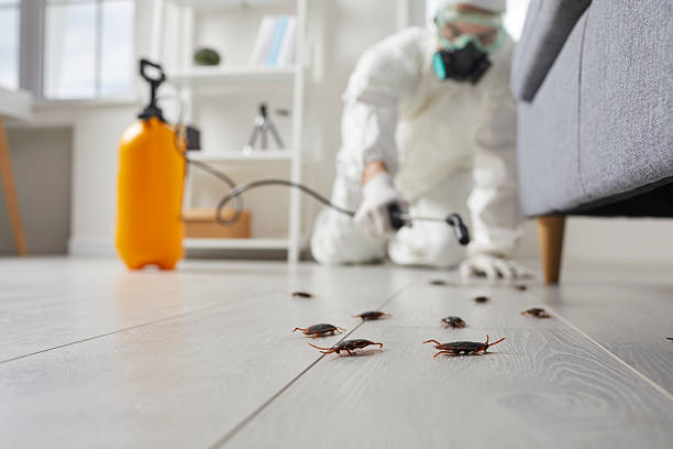 Commercial Rodent Management in Stanford